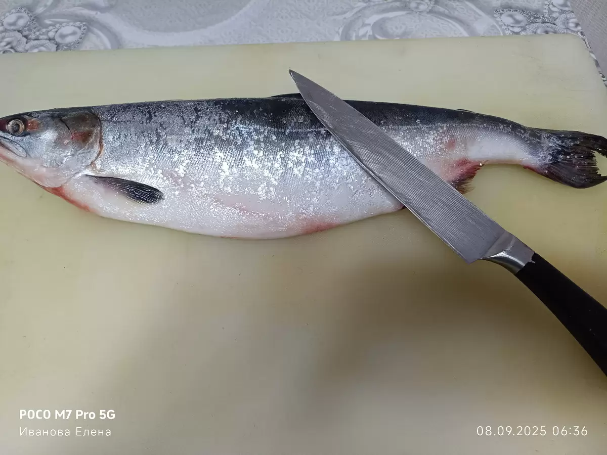 Как правильно засолить горбушу: секреты и советы