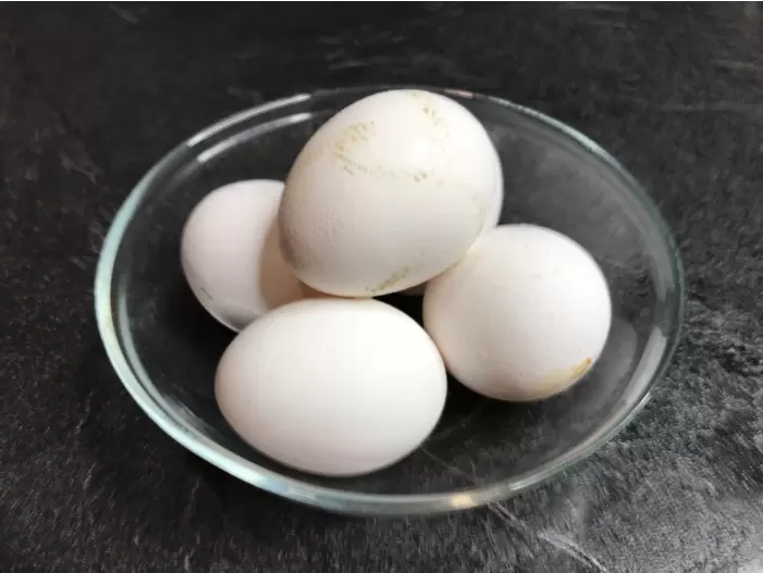 Эксперимент с яйцами: домашние или магазинные – что выбрать?