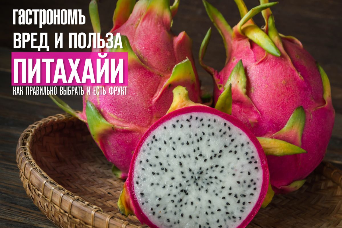 ��������: �����, ������� �������� ������ � �������