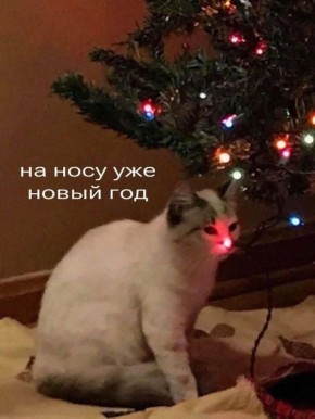 �������� ������� � ������� ����
