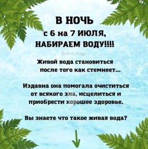 ����������� ���� ����� ������: ��������, ������ � ����� ����