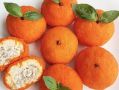 Необычная закуска «Мандаринки» разочаровала многих
