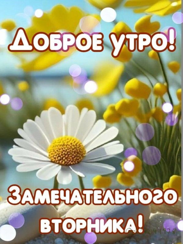 Тепло маленьких радостей в жизни больших забот