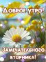 Тепло маленьких радостей в жизни больших забот