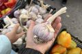 Что есть в декабре: лучшие продукты для зимнего здоровья