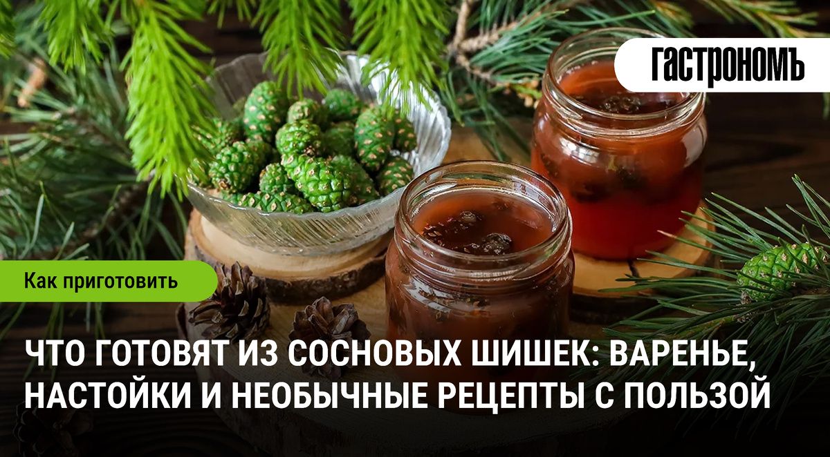 Сосновые шишки: от варенья до настоек — открываем мир необычных рецептов